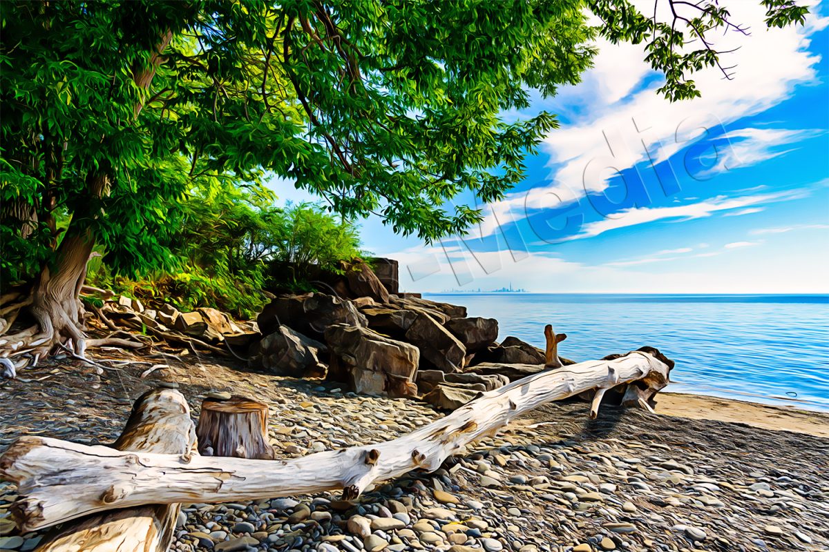 51259124387_8b7dd4412c_o-2 Ontariosee mit Blick auf Toronto Leinwand, wie Ölgemälde, druckbare Kunst