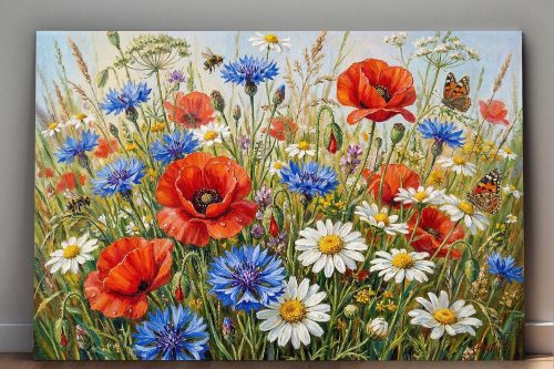 Sommerwiese in voller Blüte, Farbenfroher Bild auf Leinwand