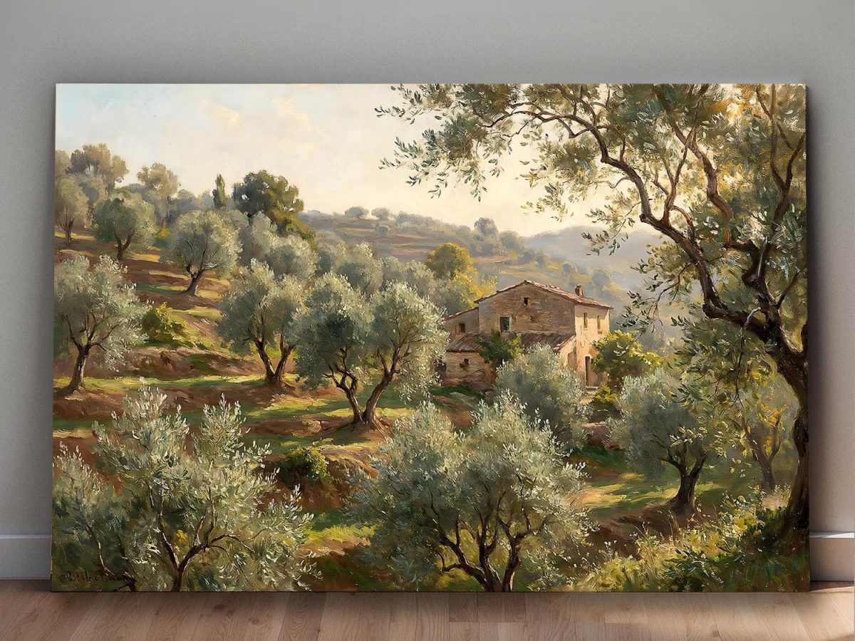 57-886.jpg Olivenhain im warmen Abendlicht - Harmonisches Bild auf Leinwand