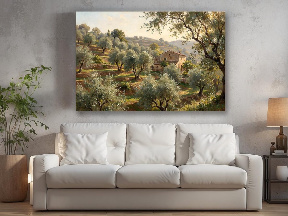 57-888.jpg Olivenhain im warmen Abendlicht - Harmonisches Bild auf Leinwand