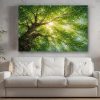 Licht in der Baumkrone - Bild auf Leinwand