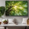 Licht in der Baumkrone - Bild auf Leinwand